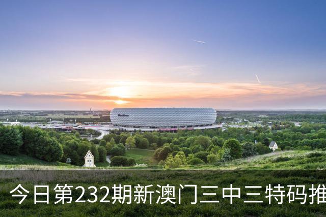 今日第232期新澳门三中三特码推荐，一肖一码中特是什么信息，精准资料是多少