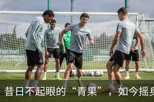 昔日不起眼的“青果”，如今摇身一变成了“营养宝